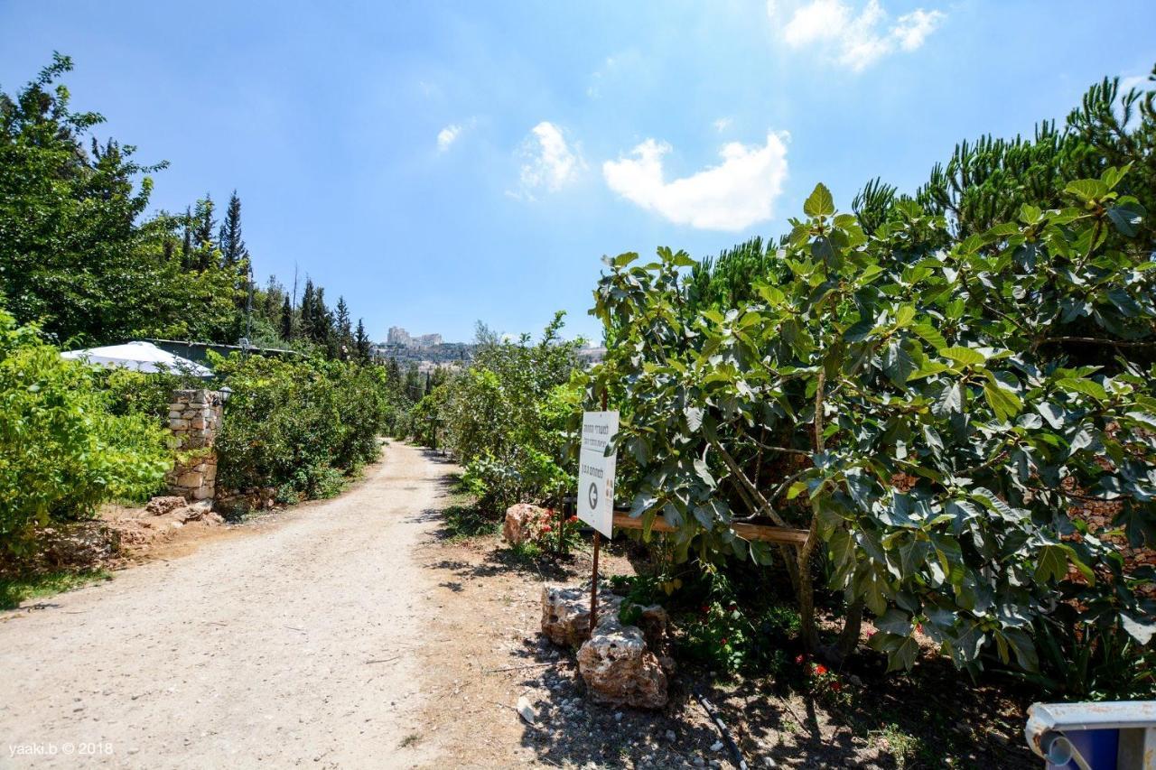 Tur Sinai Organic Farm Resort Ierusalim Exterior foto